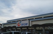 カワチ薬品　新田駅前店