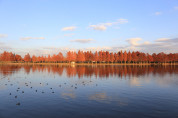 みさと公園