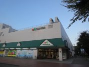 マルエツ北柏店