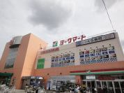 ヨークマート新柏店