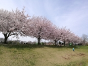 中原ふれあい防災公園