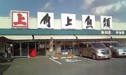 角上魚類 流山店