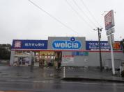 ウエルシア薬局 柏酒井根店