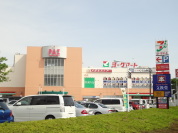 PAZ新柏