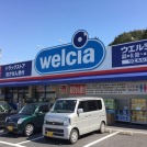 ウエルシア薬局 柏名戸ヶ谷店