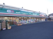 ドラッグセイムス柏花野井店