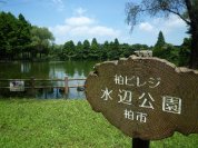 柏ビレジ水辺公園