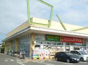 ドラッグストアスマイル柏あけぼの店