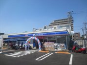 ローソン柏向原町店