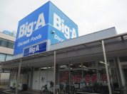 ビッグ・エー豊四季店