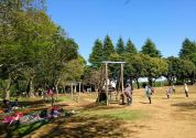 流山市総合運動公園