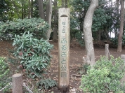 松ヶ丘ふるさと公園