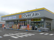 マツモトキヨシ柏の葉公園店