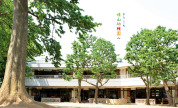 晴山幼稚園