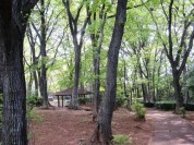永楽台近隣公園