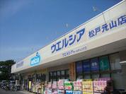 ウエルシア松戸元山店
