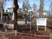 江戸川台1号公園