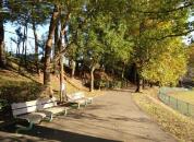 大津ケ丘中央公園