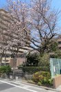 平和台1号緑地