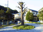 高柳丸山下2号公園