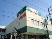ザ・ダイソーマルエツ初石店