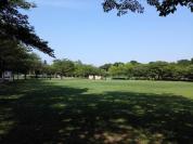 11号北部緑地