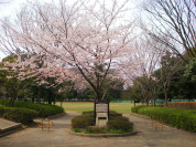 六実中央公園