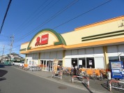 マルヤ野田山崎店