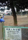 美原1号公園