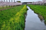 大堀川水辺公園