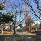 南花島公園