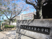 松戸市立殿平賀小学校