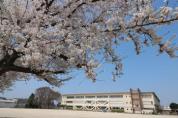 松戸市立栗ヶ沢小学校