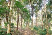 高田野鳥公園