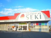ドラッグストアセキ柏たなか店