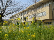 松戸市立小金北小学校