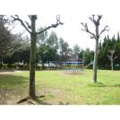 常盤平公園
