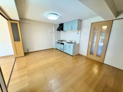 DKは洋室との出入りが可能です。扉をあけると開放感あふれる広々とした空間に！
