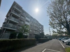 柏市松葉町５丁目