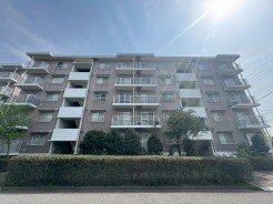 生垣がプライバシーを守り、安心して暮らせる家。自然のバリアが静かな空間を作り、外界の喧騒から守ります。
