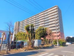 松戸市松戸新田
