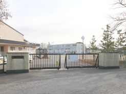 柏市花野井