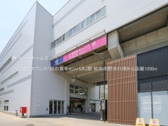 柏市花野井