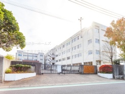 松戸市二ツ木