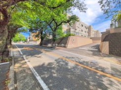 松戸市八ケ崎７丁目