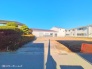 1号地 