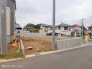1号地 
