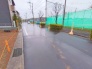 4号地  2025/03/03m