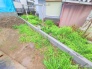 A号地 