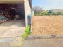 1号地 